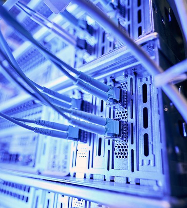 Multiple data cables plugged into network switches